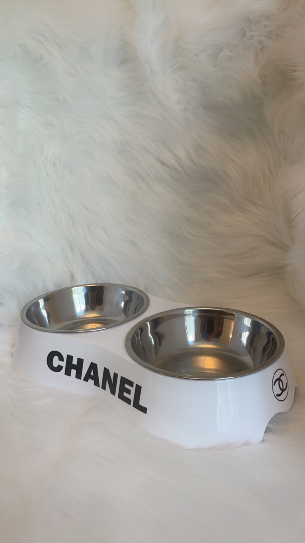 Chewnel Double Food Bowl