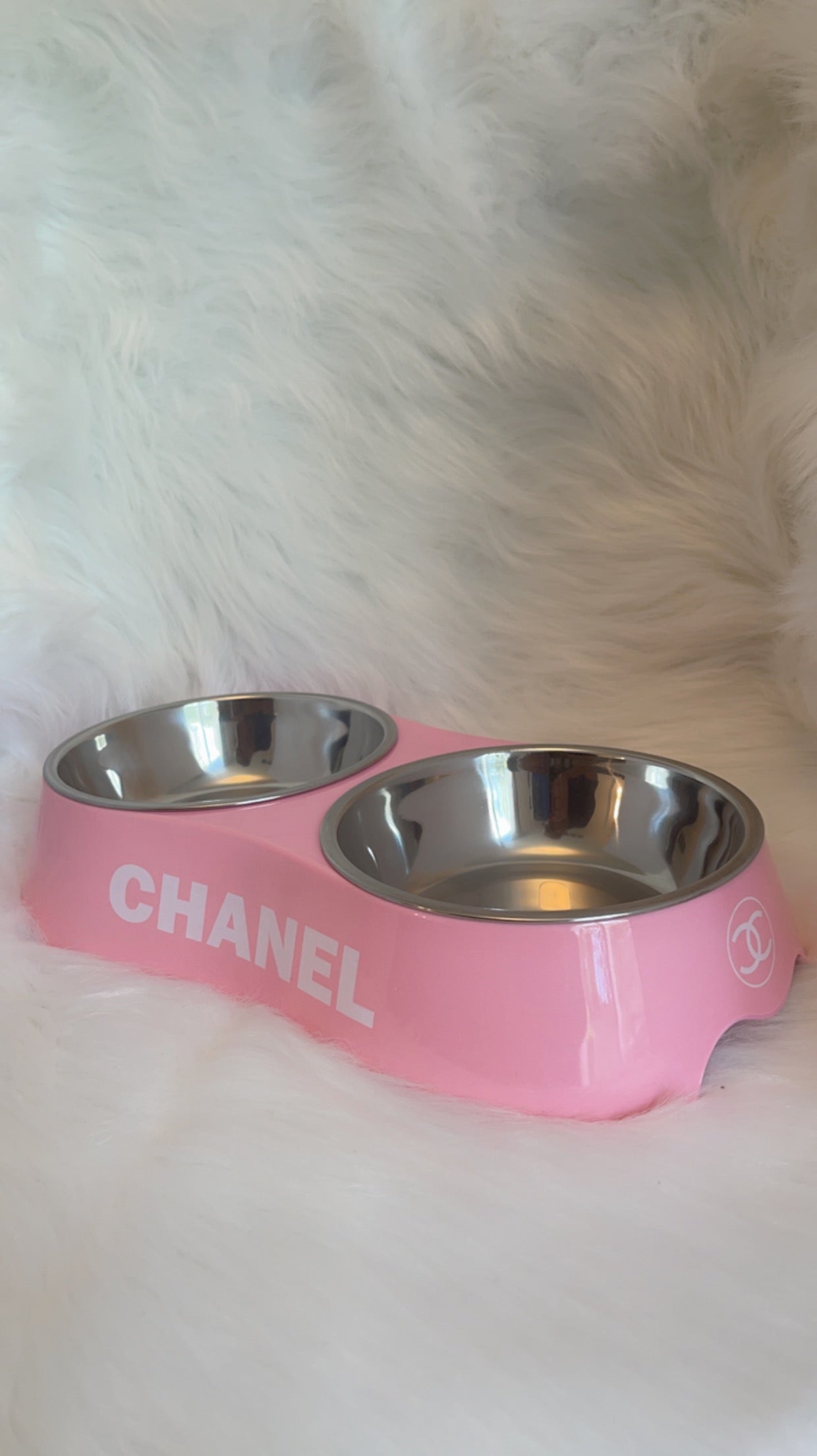 Chewnel Double Food Bowl