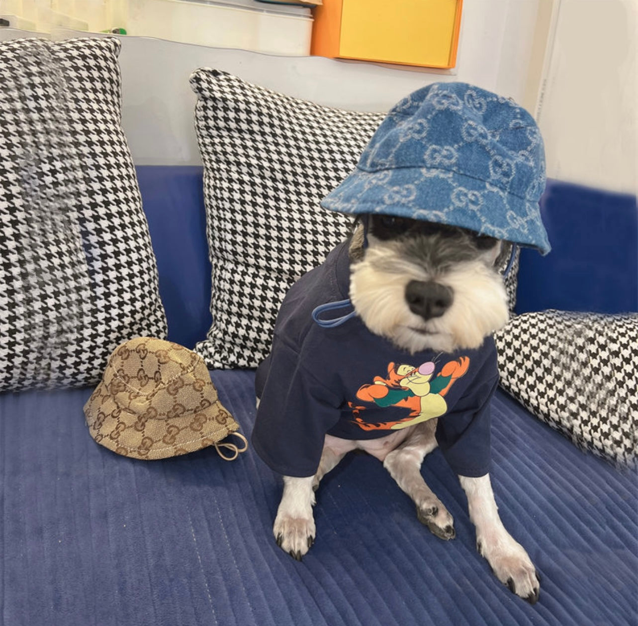 Poochi Bucket Hat